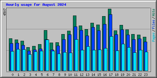 Hourly usage for August 2024