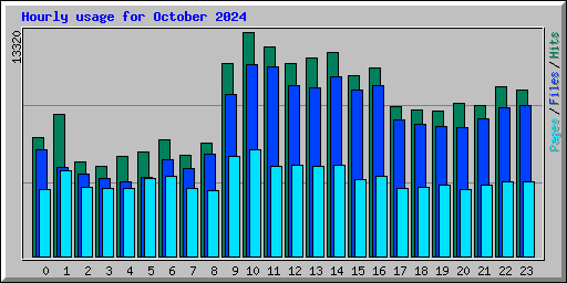 Hourly usage for October 2024