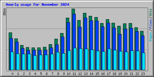 Hourly usage for November 2024