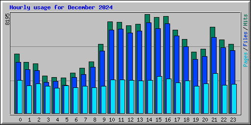 Hourly usage for December 2024